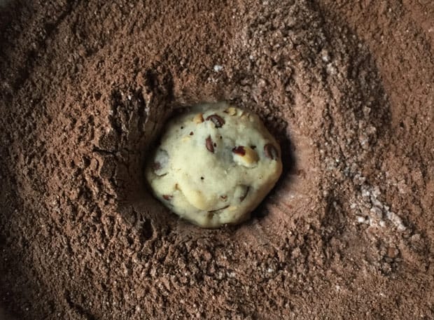 koekje gemengd met cacaopoeder in een middelgrote kom