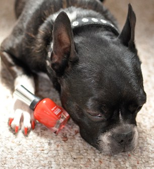 Sally Hansen in een klassieke rode nagellak met een hond