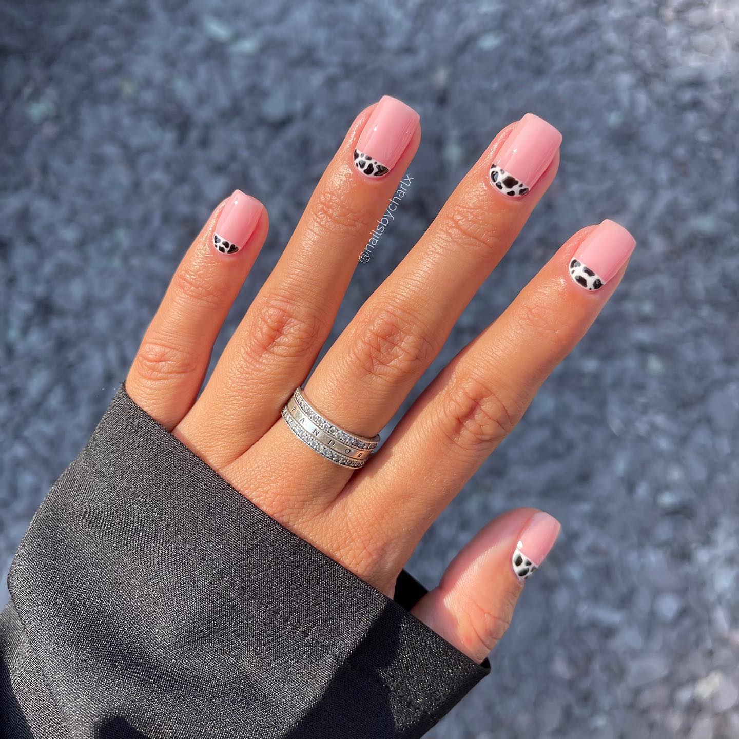 Korte vierkante roze nagels met zwart-witte koeienprint