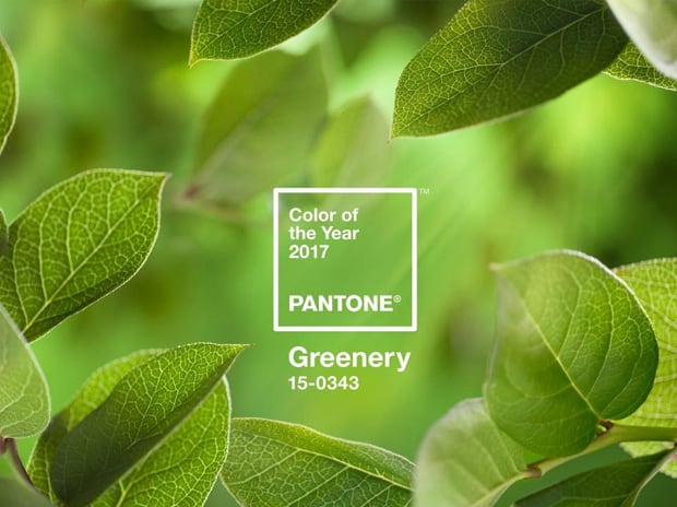 Pantone groenkleur van het jaar 2017