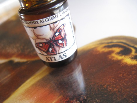 Black Phoenix Alchemy Lab Metamorphosis collectie - The Moths