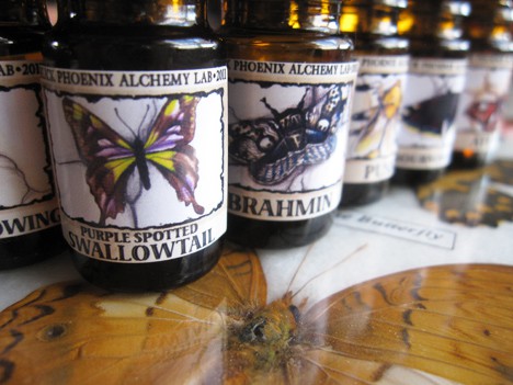 Black Phoenix Alchemy Lab Metamorphosis collectie - Butterfly