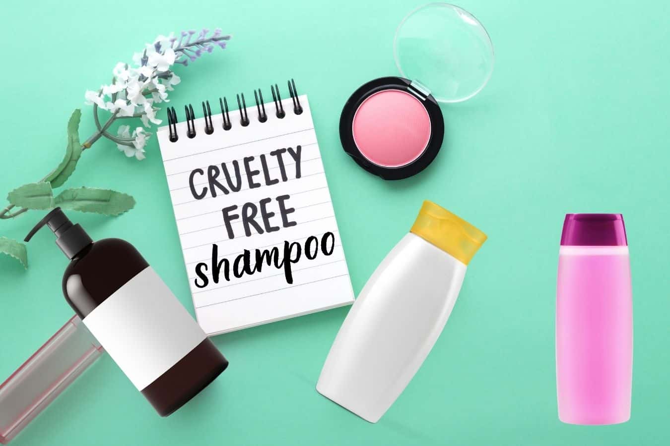 2022 Beste wreedheidsvrije shampoos (ultieme koopgids)