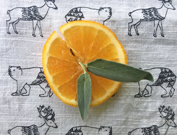 thanksgiving-cocktail-recept-salie-sinaasappel