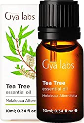 Gya Labs Tea Tree etherische olie