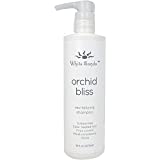 Witte Sands Orchid Bliss Shampoo 16oz