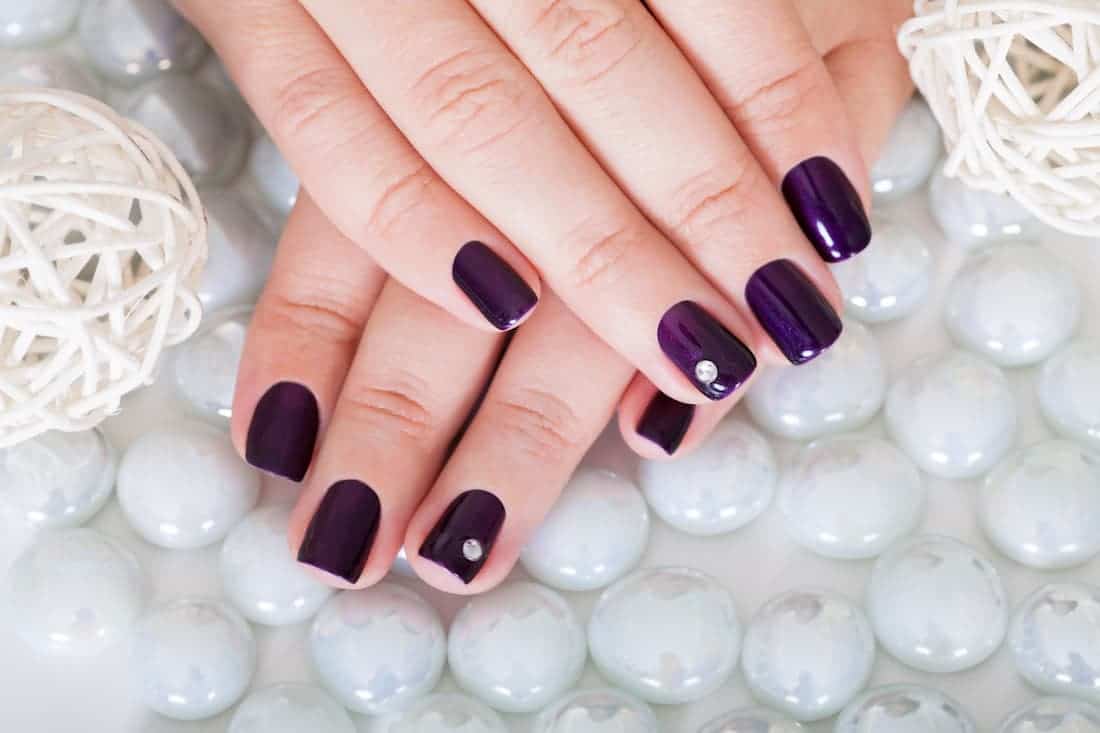 Vrouwenhanden met mooie paarse nagellak
