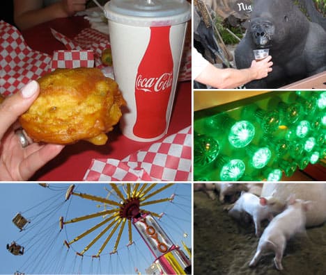 Een collage van beelden van de provinciale kermis: koekje en cola, carnavalsrit, gorilla, lichtjes, varkens