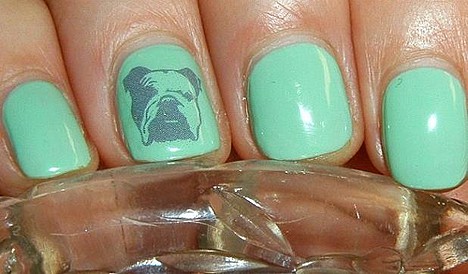 Een lichtblauwe nagellak met een bulldog nagel tattoo